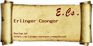 Erlinger Csongor névjegykártya